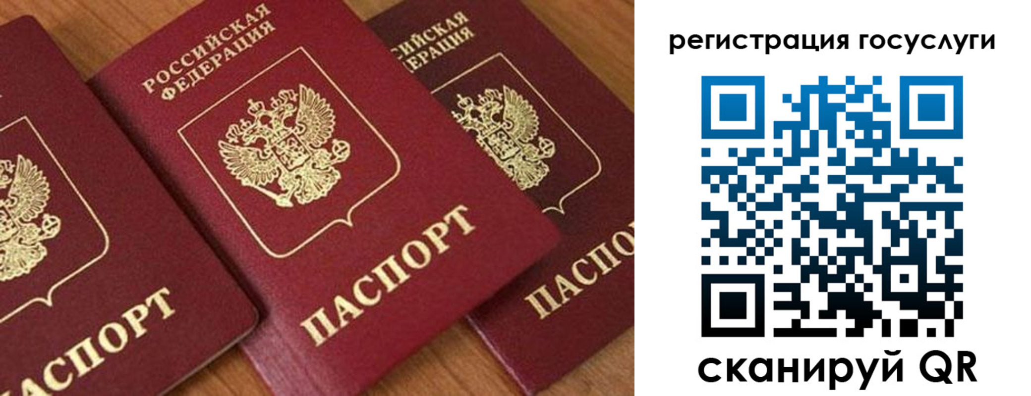 временная регистрация гарантия в Родниках
